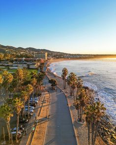 the beach is lined with palm trees and cars parked on the side of the road