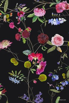 A vibrant floral pattern against a black background featuring various brightly colored flowers, including roses, peonies, and bellflowers. The intricate design showcases detailed leaves and delicate stems in shades of pink, red, blue, and purple. Colours Wallpaper, Black Chinoiserie, Stripes Wallpaper, Luxury Wallpaper