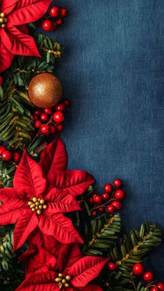 a blue background with poinsettis and christmas decorations