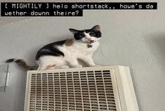 a black and white cat sitting on top of a heater next to a wall