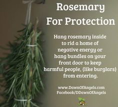 Rosemary Witch House Protection, Angel Magic, House Magic, House Cleansing, Magickal Herbs, Witchy Tips