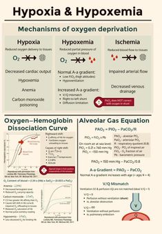 the hypoxia and hypoemia poster shows different types of hydrogens