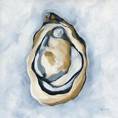 a painting of a shell on a white background