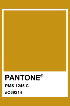 Pantone Orange, Pantone Matching System, Color Chip, House Doors