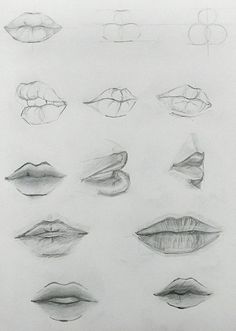 pencil drawings of different lips and noses