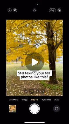 an iphone screen with the text still taking your fall photos like this? on it