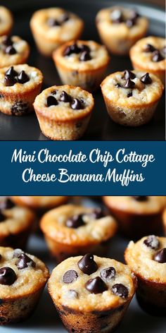 These moist and fluffy mini muffins combine creamy cottage cheese, ripe bananas, and mini chocolate chips for a healthier, protein-rich snack or breakfast treat. Mini Banana Chocolate Chip Muffins Healthy, Cottage Cheese Mini Muffins, Chocolate Chip Cottage Cheese Muffins, Gluten Free Cottage Cheese Muffins, High Protein Cottage Cheese Muffins, Banana Cottage Cheese Muffins, Cottage Cheese Chocolate Chip Muffins, Cottage Cheese Banana Muffins, Baking With Cottage Cheese