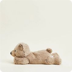 a brown teddy bear laying on its back