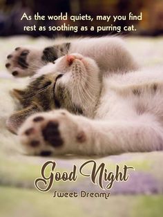 a cat sleeping on its back with the caption good night sweet dreams as the world quiets, may you find rest as soothing as a puriming cat