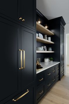 a kitchen with black cabinets and gold handles