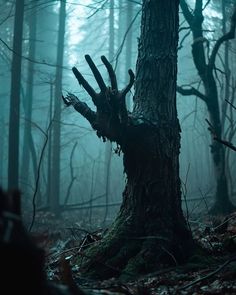 a creepy looking tree in the middle of a forest