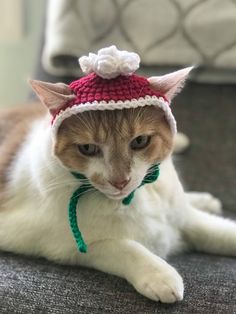 a cat wearing a knitted hat laying on the floor