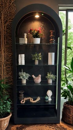 a display case filled with lots of plants