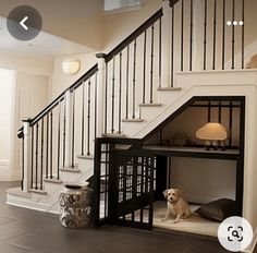 a dog is sitting in his bed under the stairs at the bottom of the stairs