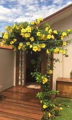 yellow flowers are growing on the side of a home's decking and patio