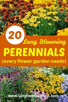 flowers with text overlay that says 20 long blooming perennials every flower garden needs