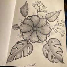 a pencil drawing of flowers and leaves