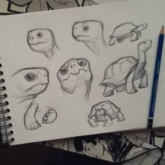 sketches of different types of turtles and turtle heads are shown in this drawing book with pencils