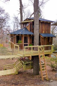 a tree house built into the side of a tree with stairs leading up to it