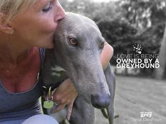 a woman kissing a greyhound dog on the nose