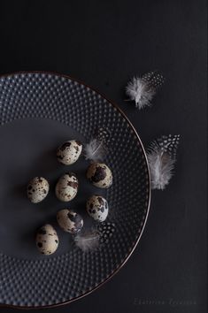 quails and feathers are arranged on a plate