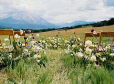 two wooden chairs sitting on top of a lush green field filled with wildflowers