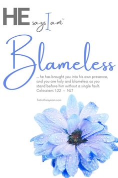 a blue flower with the words, he says i am blaneless