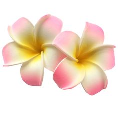 PRICES MAY VARY. 2PCS Set of Hawaiian Frangipani Foam Flower With Metal Clips Approx. 0.28 Inch in Diameter Made of Eva Foam Various Colors for Choice Hawiian Flower, Hawaiin Flowers, Foam Flower, Head Flower, Foam Head, Hawaiian Flower, Flower Party, Hair Accessories Clips, Foam Flowers