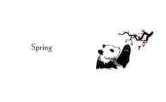 a panda bear sitting on top of a tree next to a branch with flowers in it