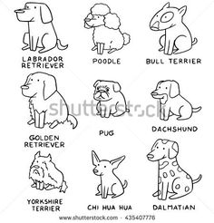 dogs and their names in black and white