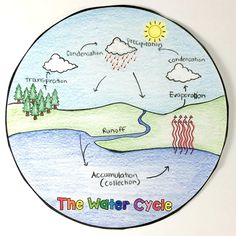 the water cycle is depicted on a plate