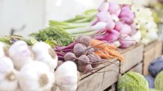 several different types of vegetables are on display