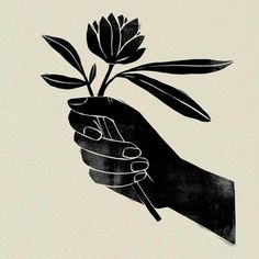 a black and white drawing of a person's hand holding a small plant with leaves