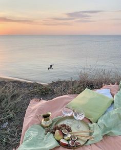 a plate of food is sitting on a blanket near the ocean with a bird flying in the background