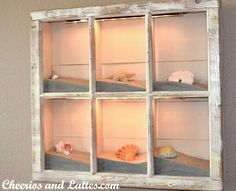 an old window has shells and seashells in it