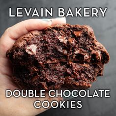 a hand holding a double chocolate cookie