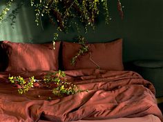 an unmade bed with red sheets and green plants hanging from the wall above it