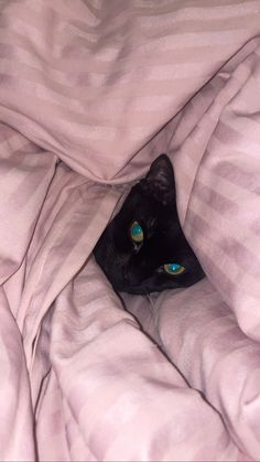 a black cat peeking out from under a blanket