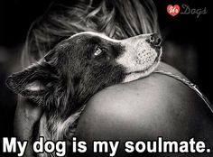 a black and white photo of a woman hugging her dog