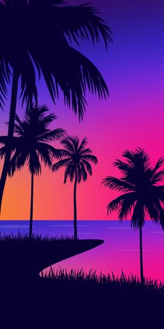 palm trees are silhouetted against an orange and pink sunset over the ocean in this tropical scene