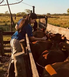 a woman is tending to cows in the back of a truck