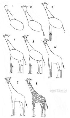 how to draw giraffes step by step