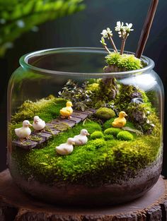 a glass jar filled with moss and little ducks