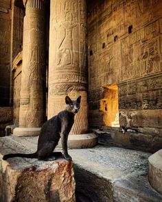 a black cat sitting on top of a rock in front of some large stone pillars