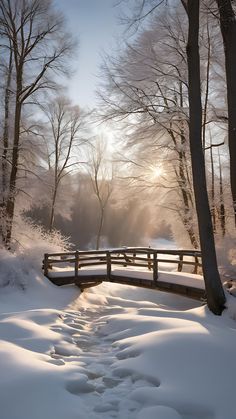 a wooden bridge in the middle of a snowy forest with footprints coming out of it