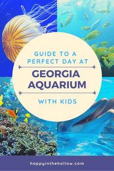 the words guide to a perfect day at georgia aquarium with kids