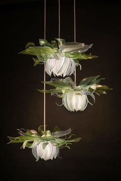 three hanging lights with white flowers and green leaves in the center, against a dark background