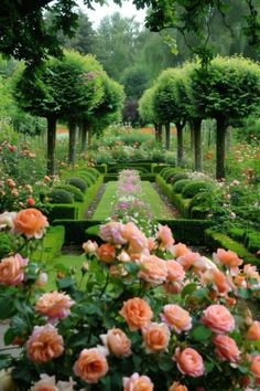 a garden filled with lots of pink flowers and green hedges covered in trees, bushes and shrubbery