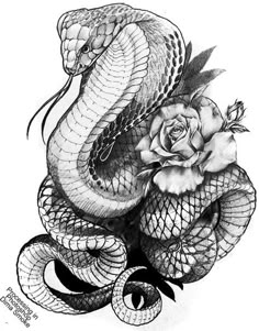 a snake and rose tattoo design