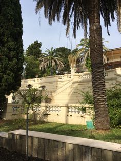 a palm tree next to a building with stairs and balconies in the background